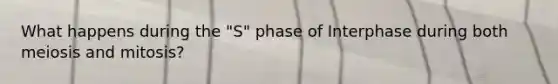 What happens during the "S" phase of Interphase during both meiosis and mitosis?