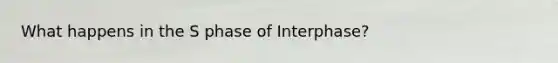 What happens in the S phase of Interphase?