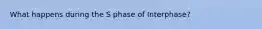 What happens during the S phase of Interphase?