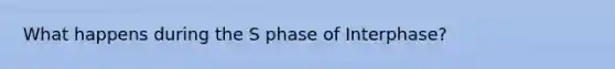 What happens during the S phase of Interphase?