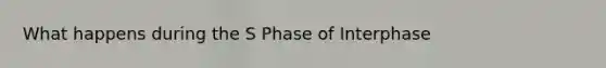 What happens during the S Phase of Interphase