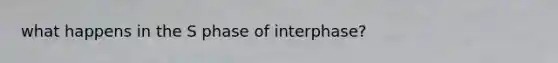 what happens in the S phase of interphase?