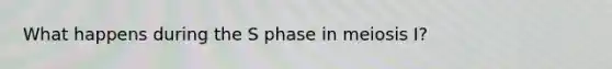 What happens during the S phase in meiosis I?