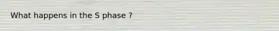 What happens in the S phase ?