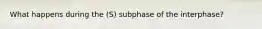 What happens during the (S) subphase of the interphase?