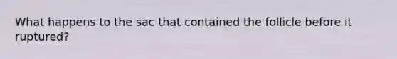 What happens to the sac that contained the follicle before it ruptured?