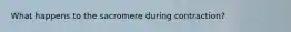 What happens to the sacromere during contraction?