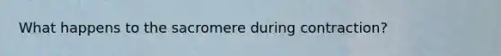 What happens to the sacromere during contraction?