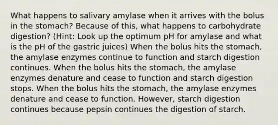 What happens to salivary amylase when it arrives with the bolus in the stomach? Because of this, what happens to carbohydrate digestion? (Hint: Look up the optimum pH for amylase and what is the pH of the gastric juices) When the bolus hits the stomach, the amylase enzymes continue to function and starch digestion continues. When the bolus hits the stomach, the amylase enzymes denature and cease to function and starch digestion stops. When the bolus hits the stomach, the amylase enzymes denature and cease to function. However, starch digestion continues because pepsin continues the digestion of starch.