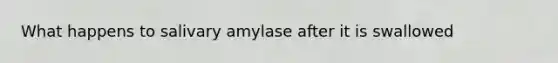 What happens to salivary amylase after it is swallowed