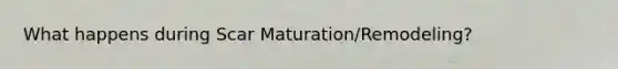 What happens during Scar Maturation/Remodeling?