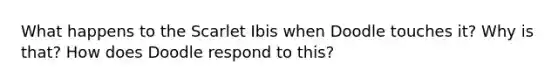 What happens to the Scarlet Ibis when Doodle touches it? Why is that? How does Doodle respond to this?