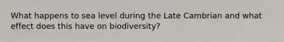 What happens to sea level during the Late Cambrian and what effect does this have on biodiversity?