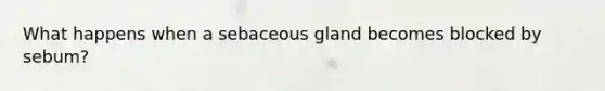 What happens when a sebaceous gland becomes blocked by sebum?