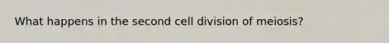 What happens in the second cell division of meiosis?