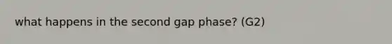 what happens in the second gap phase? (G2)