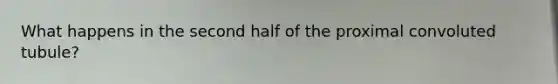 What happens in the second half of the proximal convoluted tubule?