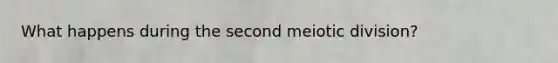 What happens during the second meiotic division?