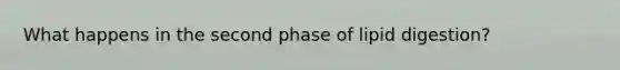 What happens in the second phase of lipid digestion?