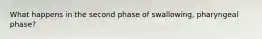 What happens in the second phase of swallowing, pharyngeal phase?