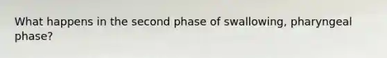 What happens in the second phase of swallowing, pharyngeal phase?