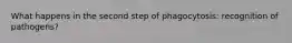 What happens in the second step of phagocytosis: recognition of pathogens?