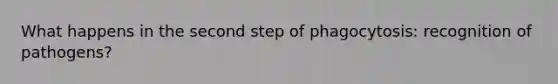 What happens in the second step of phagocytosis: recognition of pathogens?