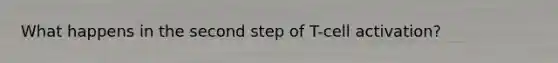 What happens in the second step of T-cell activation?