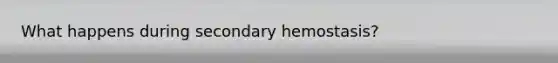 What happens during secondary hemostasis?