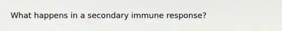 What happens in a secondary immune response?