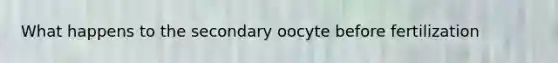 What happens to the secondary oocyte before fertilization