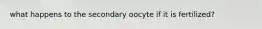 what happens to the secondary oocyte if it is fertilized?