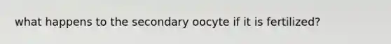 what happens to the secondary oocyte if it is fertilized?