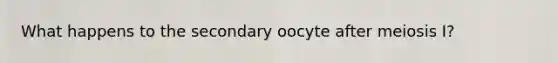 What happens to the secondary oocyte after meiosis I?