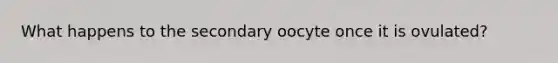 What happens to the secondary oocyte once it is ovulated?