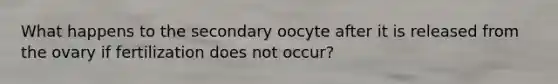 What happens to the secondary oocyte after it is released from the ovary if fertilization does not occur?