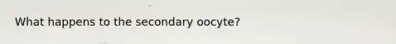 What happens to the secondary oocyte?