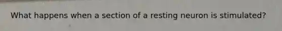 What happens when a section of a resting neuron is stimulated?