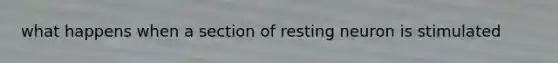 what happens when a section of resting neuron is stimulated