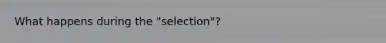 What happens during the "selection"?