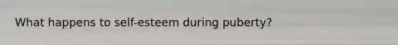 What happens to self-esteem during puberty?