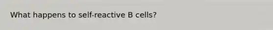 What happens to self-reactive B cells?