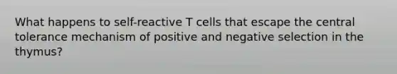 What happens to self-reactive T cells that escape the central tolerance mechanism of positive and negative selection in the thymus?