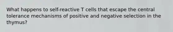 What happens to self-reactive T cells that escape the central tolerance mechanisms of positive and negative selection in the thymus?