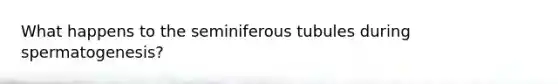 What happens to the seminiferous tubules during spermatogenesis?