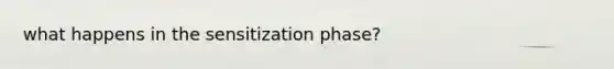 what happens in the sensitization phase?