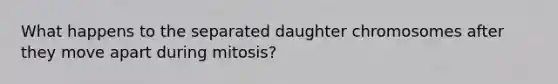 What happens to the separated daughter chromosomes after they move apart during mitosis?