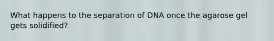 What happens to the separation of DNA once the agarose gel gets solidified?