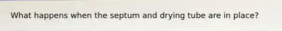 What happens when the septum and drying tube are in place?
