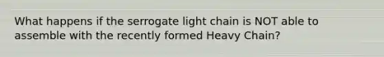 What happens if the serrogate light chain is NOT able to assemble with the recently formed Heavy Chain?